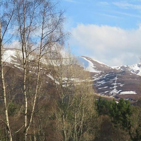 Pine Marten Bar Glenmore Pods Aviemore Dış mekan fotoğraf